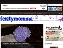 Tablet Screenshot of feistymomma.com